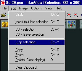 IrfanView Edit Crop Selection